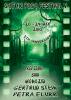 000_Gothic_Pogo_Festival_2010_Flyer